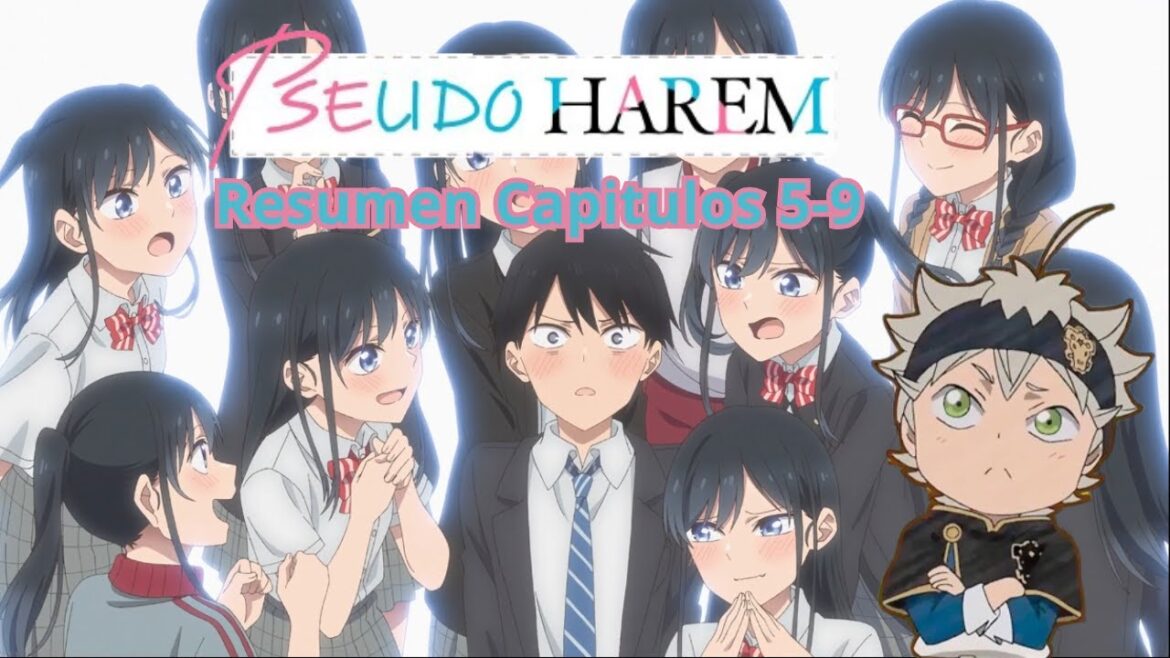Una MULTIWAIFU se enamora de un chico que quiere un Harem, Pseudo Harem Resumen Anime