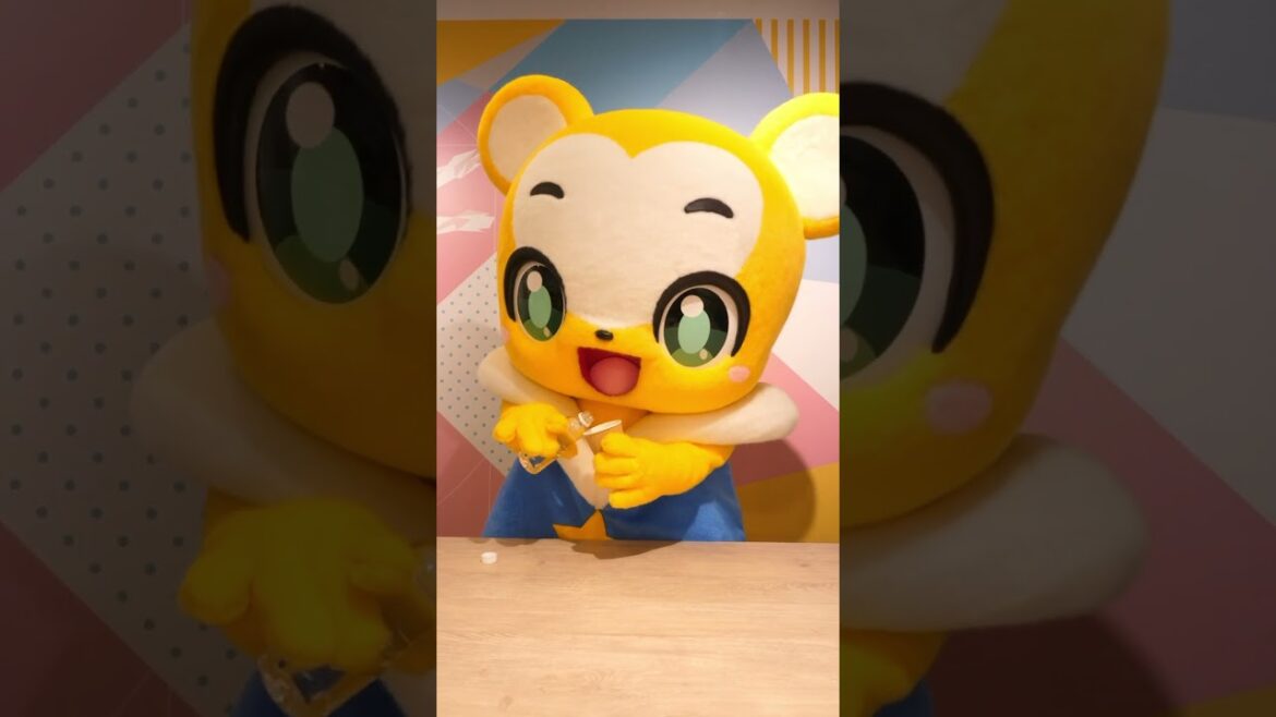 Kumarba reverse video/クマーバの逆再生動画#shorts #reverse