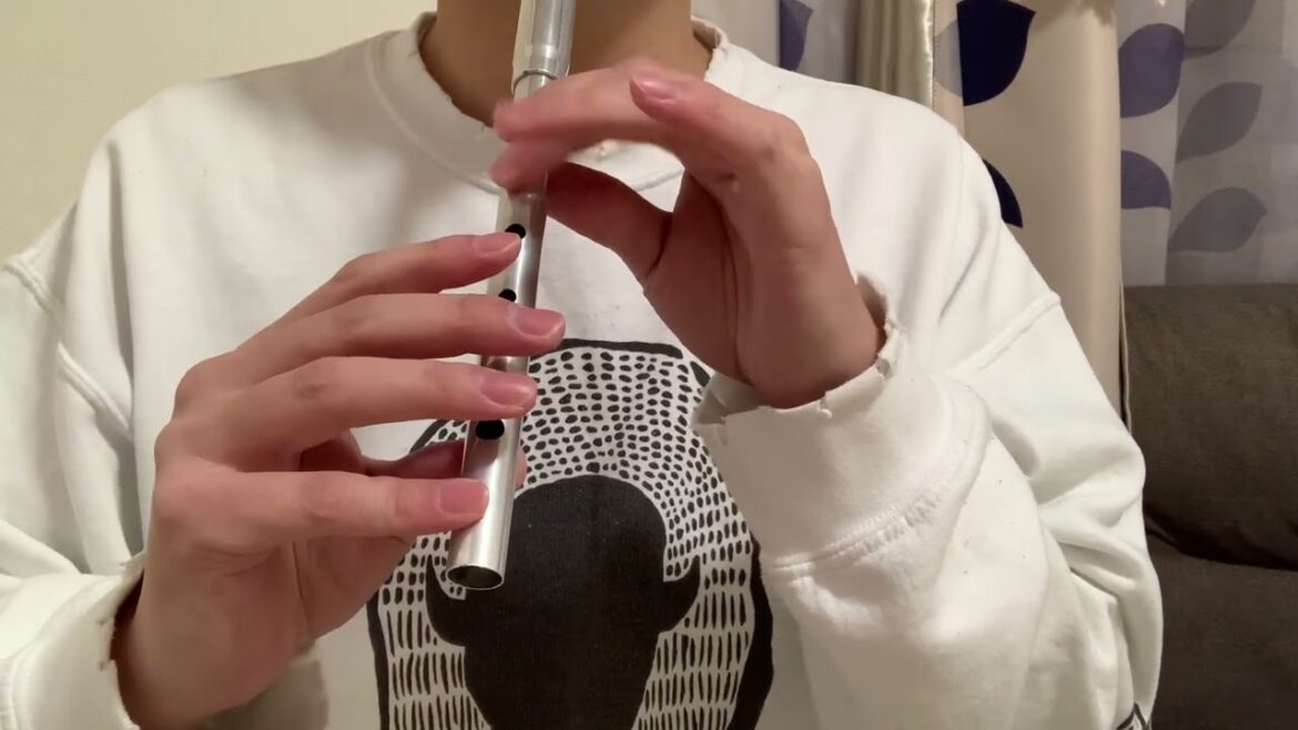 【ティンホイッスル】ゆるキャン△〜キャンプ場でスキップ〜