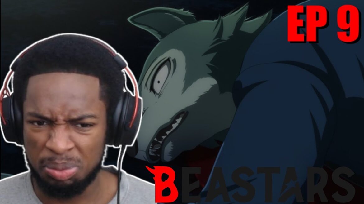 THEY DONE SHOT LEGOSHI?! | Beastars - Final Season Episode 9 (Reaction)