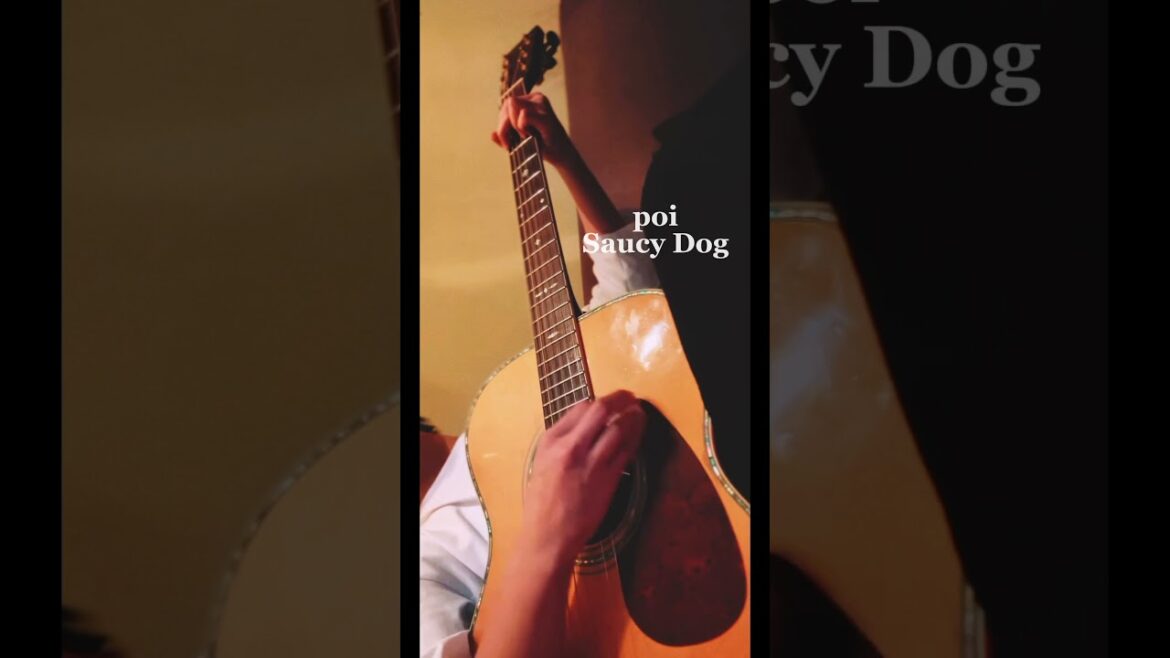 poi / Saucy Dog (弾き語りcover)