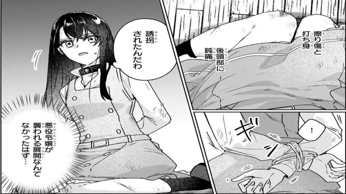 【異世界漫画】綺麗事だらけの世界なんてイヤ!私は歴史に残る悪女になる 1~32【マンガ動画】