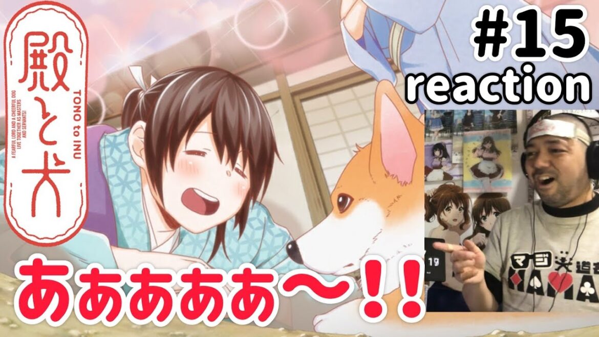殿と犬 15話 リアクション 【くっそ〜気付かんかったぜw】 TONO to INU ep15 reaction 同時視聴 反応 #殿と犬