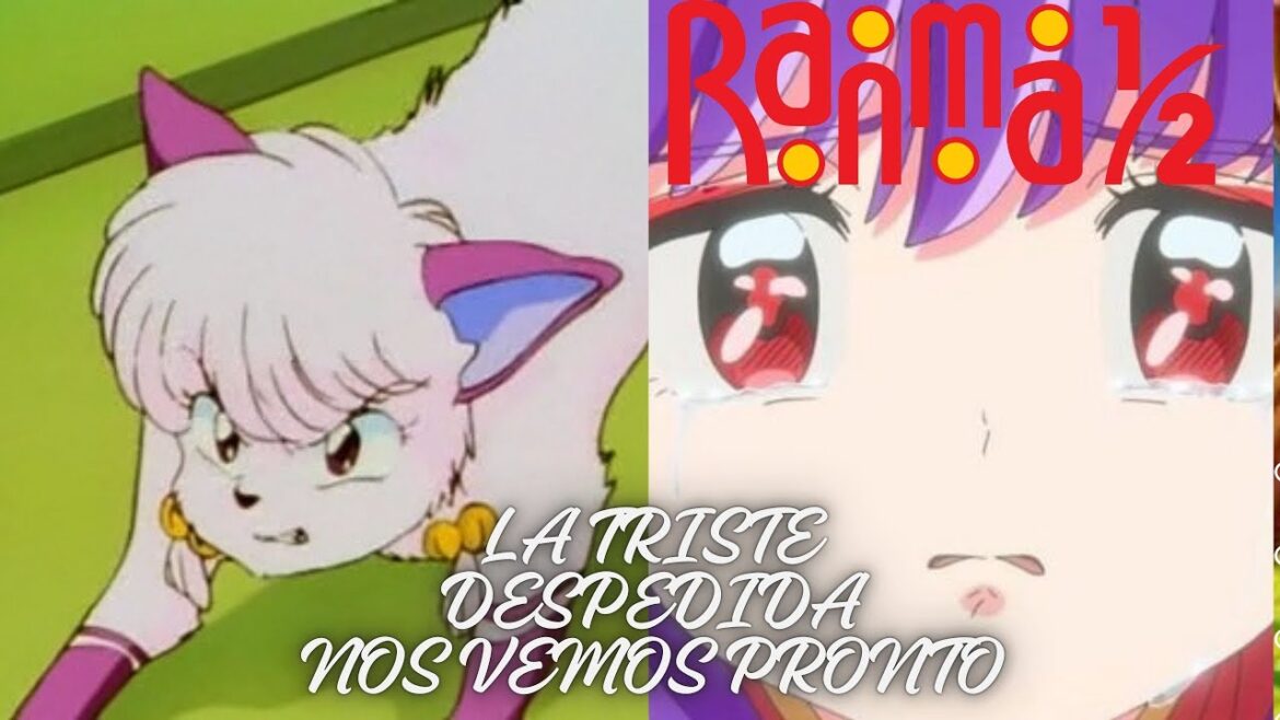 Ranma 1/2 el Champú Amnésico Cuando Recordar es un Problema y une corazones Reseña  12