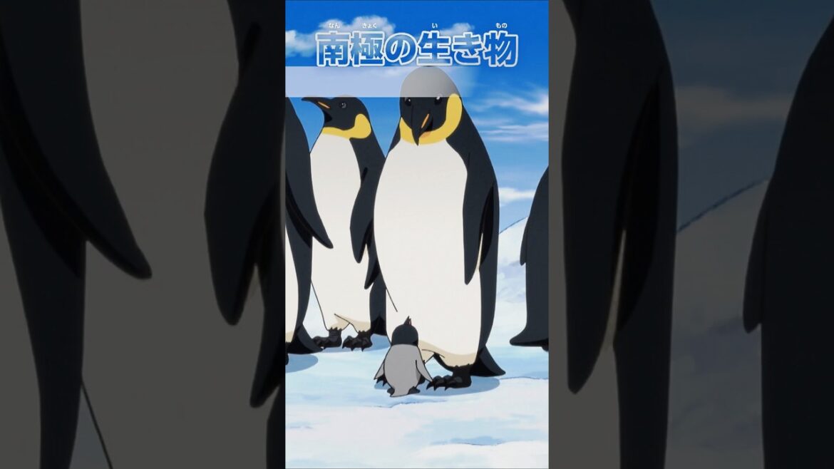 南極の生き物 / テレビアニメ「科学×冒険サバイバル！」