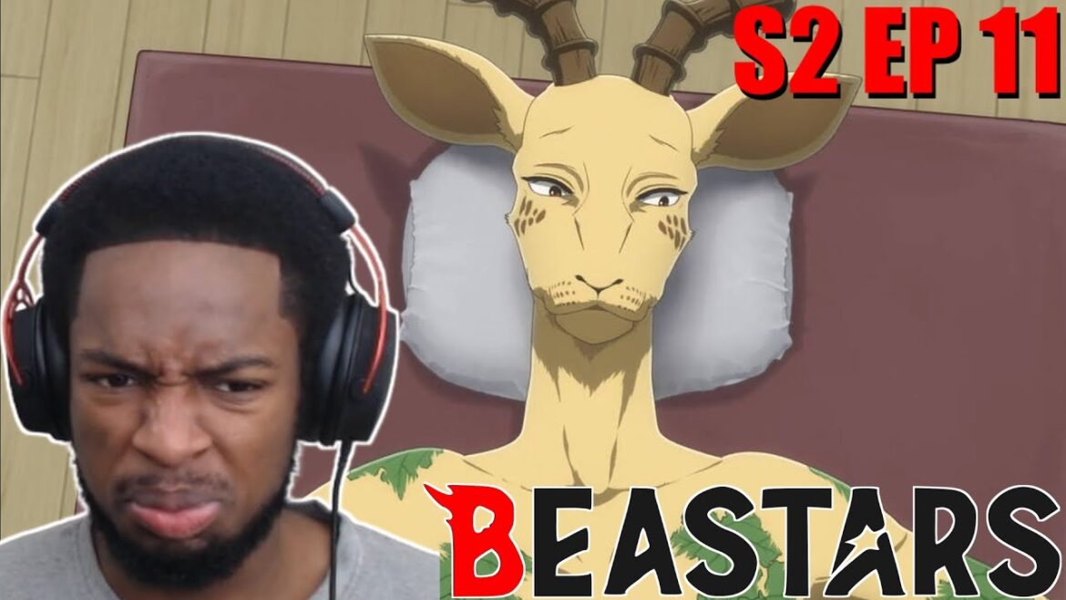 Melon is a FREAK😭 | Beastars - Final Season Episode 11 (Reaction)