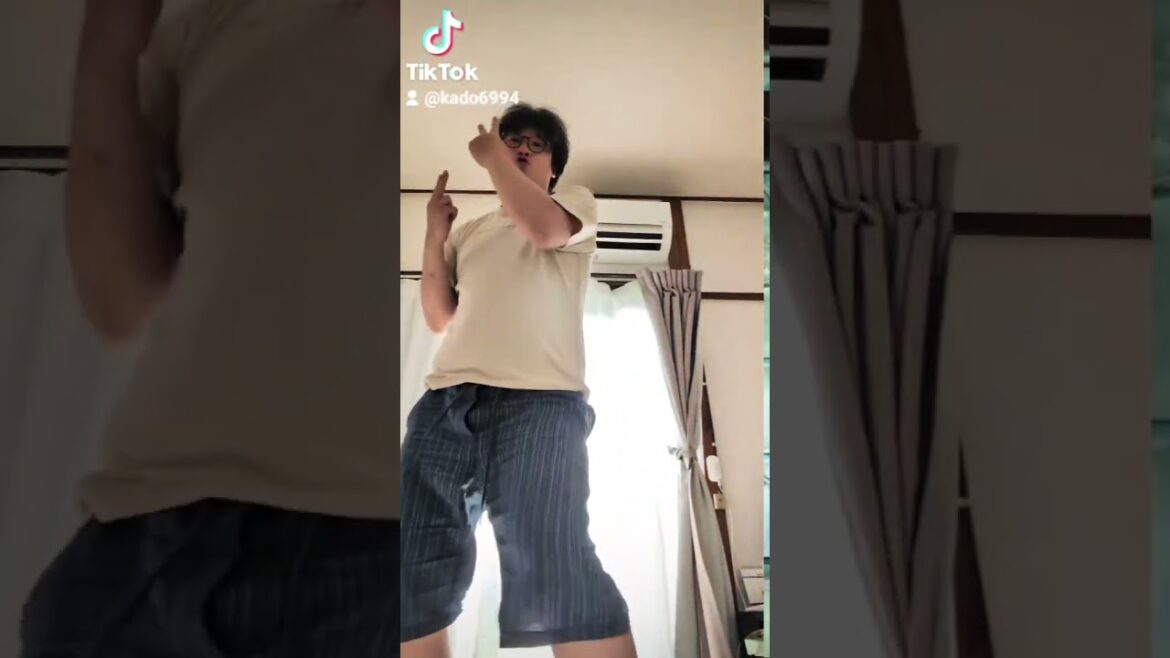 【踊ってみた！】エルフさんは痩せられない #おどってみた