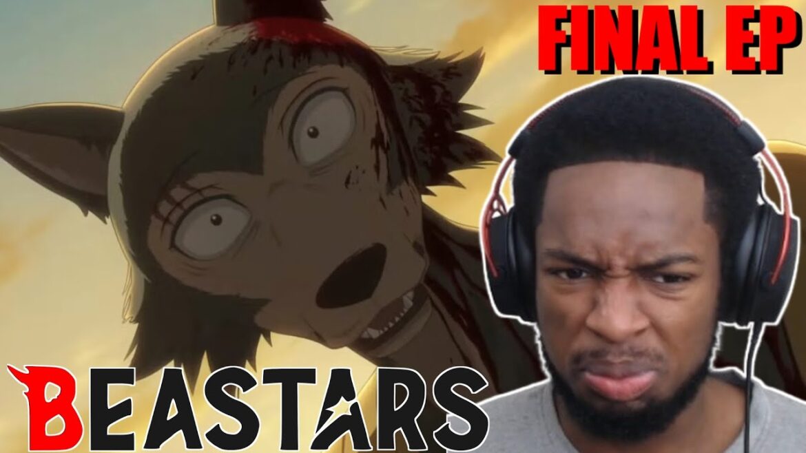 I WAS NOT EXPECTING THAT ENDING?! | Beastars – Final Season Episode 12 (Reaction) I WAS NOT EXPECTING THAT ENDING?! | Beastars - Final Season Episode 12 (Reaction)
