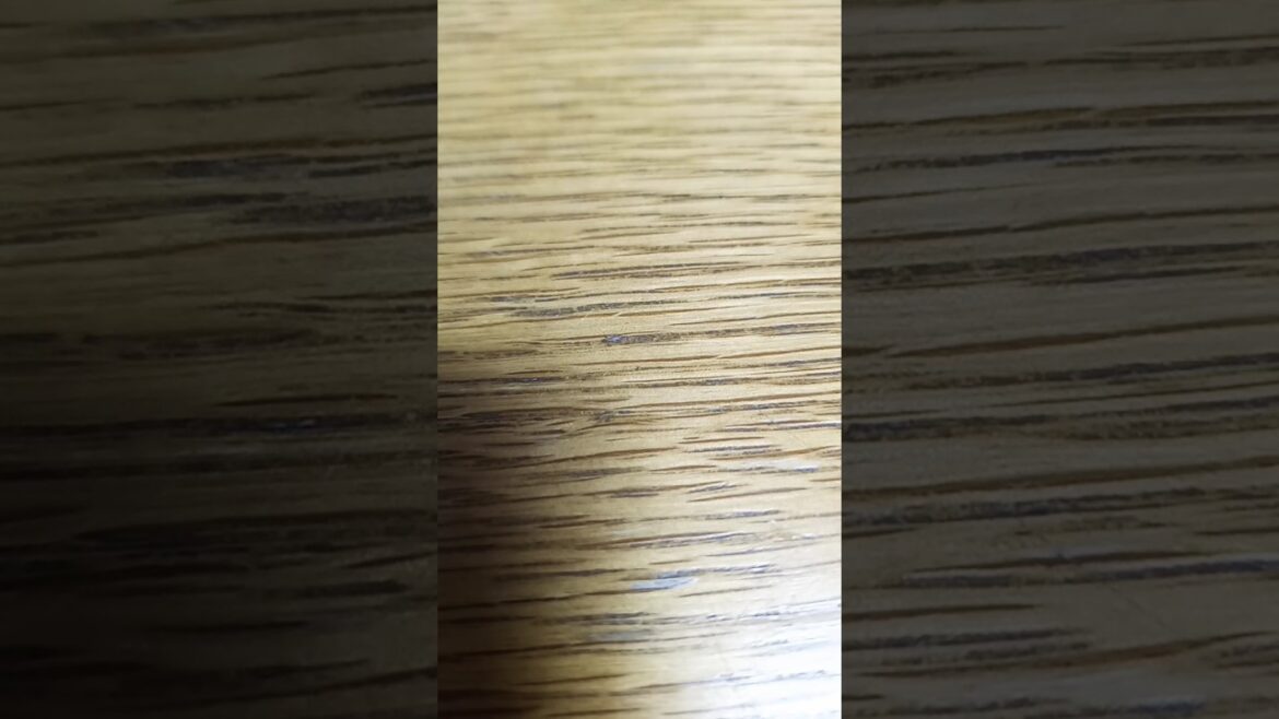#科学冒険サバイバル 恐竜世界のサバイバルその1あらすじ