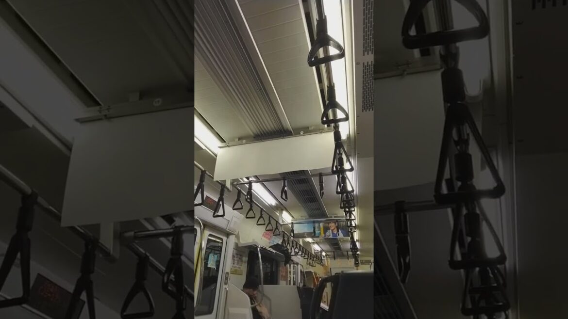 湘南新宿ライン 大崎駅到着前放送「ﾄｳｷｮｳﾘﾝｶｲｺｳｿｸﾃﾂﾄﾞｳﾘﾝｶｲﾗｲﾝ」#ﾄｳｷｮｳﾘﾝｶｲｺｳｿｸﾃﾂﾄﾞｳﾘﾝｶｲﾗｲﾝ