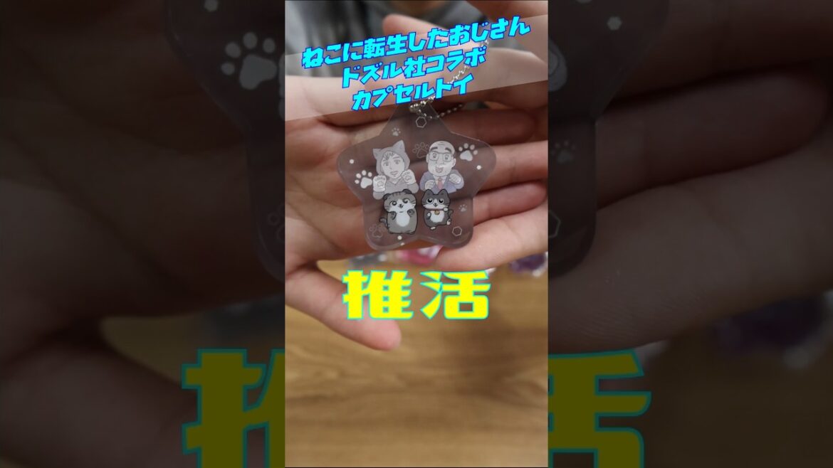 ドズル社ねこに転生したおじさんコラボ#カプセルトイ#ドズル社#ねこに転生したおじさん#ぼんじゅうる#ネコおじ#ドズル#おおはらMEN#アクキー#アクリルキーホルダー#にゃんにゃんにゃん#コレサワ