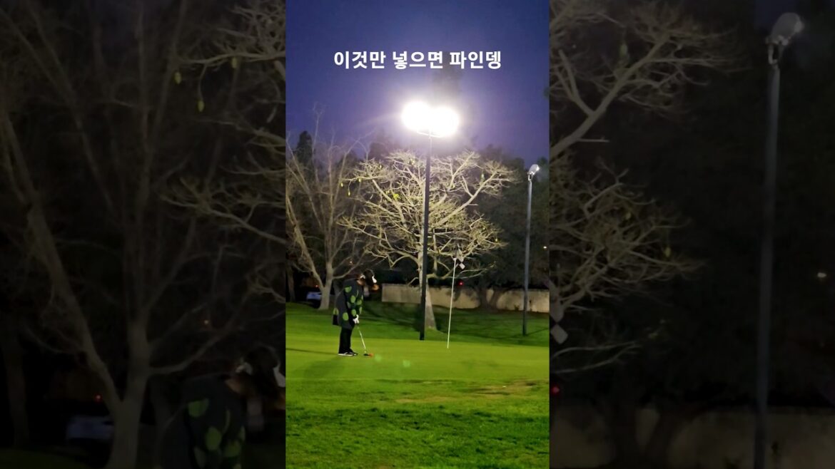 퍼팅만 잘하면 파인데 이번 주말 골프 토너먼트 사전 답사 왔어요 186일차 DAY186 2월14일 #golf #golfswing #골프 #골린이