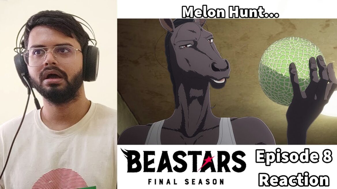 Beastars Final Season Episode 8 REACTION + DISCUSSION (FULL TIMER)