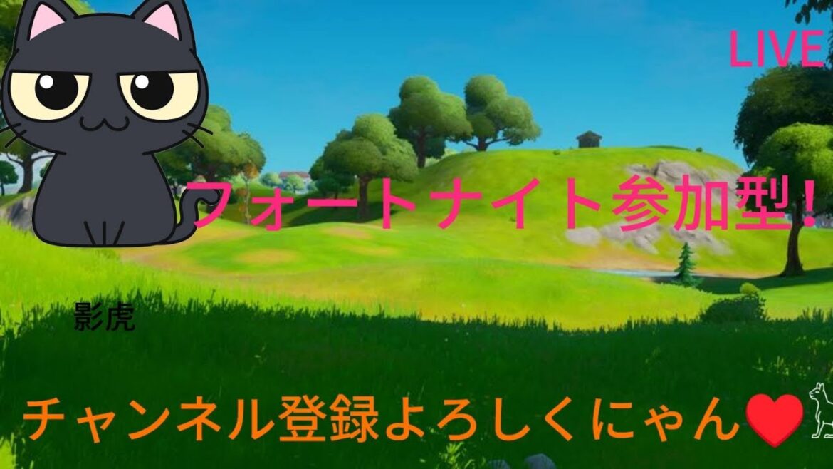 ［フォートナイト参加型配信］世界一優しい参加型