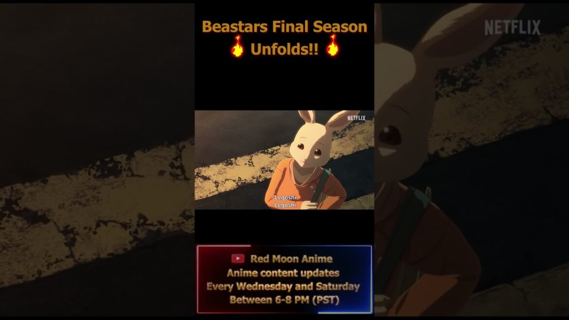 🌟 Beastars' Epic Final Season: Split into 2 Parts!🌟#anime #beastars