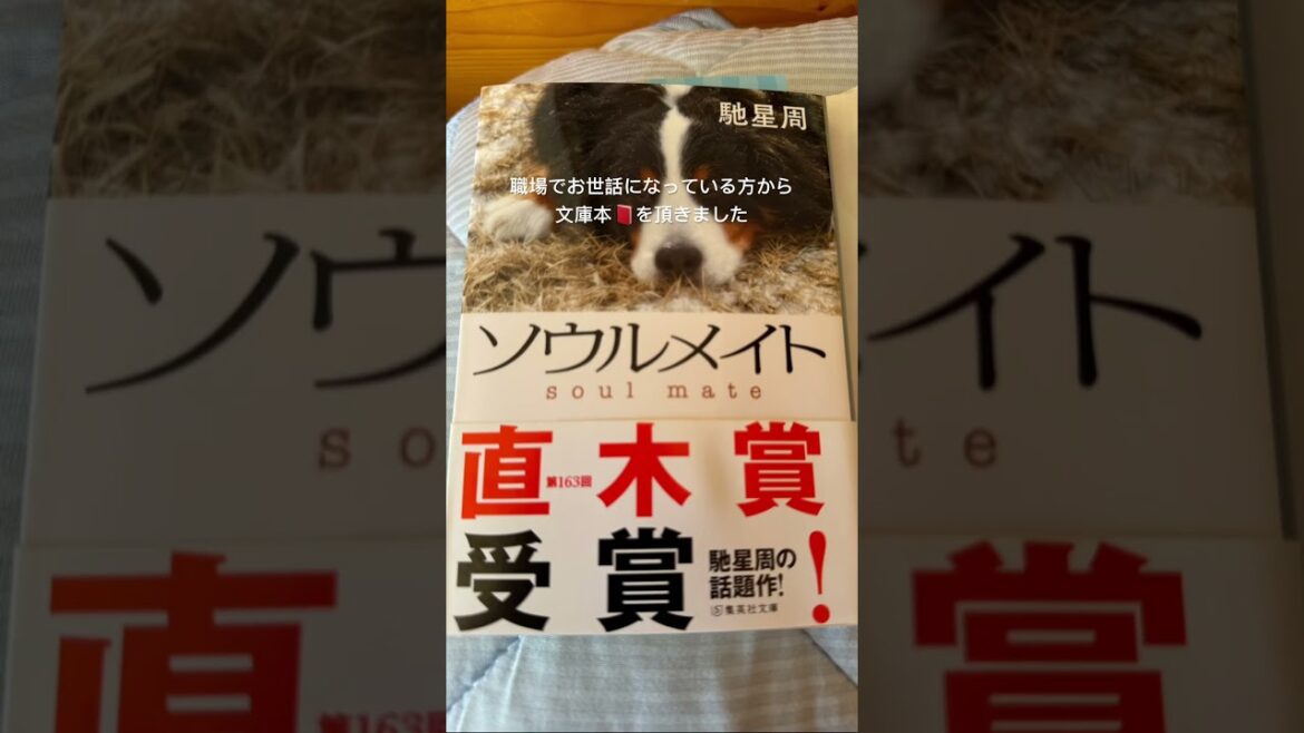 11/24NPO法人アニサポイベントの続き、頂き物のご紹介#shorts #賢殿