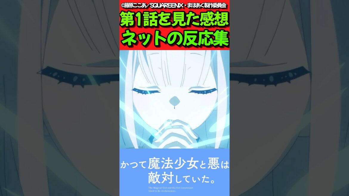 【まほあく】アニメ第1話を見た感想に対するネットの反応集【かつて魔法少女と悪は敵対していた。】#反応集 #反応まとめ #まほあく #shorts 【まほあく】アニメ第1話を見た感想に対するネットの反応集【かつて魔法少女と悪は敵対していた。】#反応集 #反応まとめ #まほあく #shorts