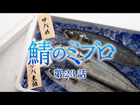 TVアニメ『青のミブロ』/次回予告CM「鯖のミブロ」#23/毎週土曜夕方5時半放送中! TVアニメ『青のミブロ』/次回予告CM「鯖のミブロ」#23/毎週土曜夕方5時半放送中!