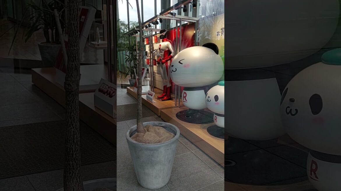 【楽天パンダさん】撮らせていただきました🔰/モーツァルト/撮影時は周囲やご自身の安全等々を確認しましょう