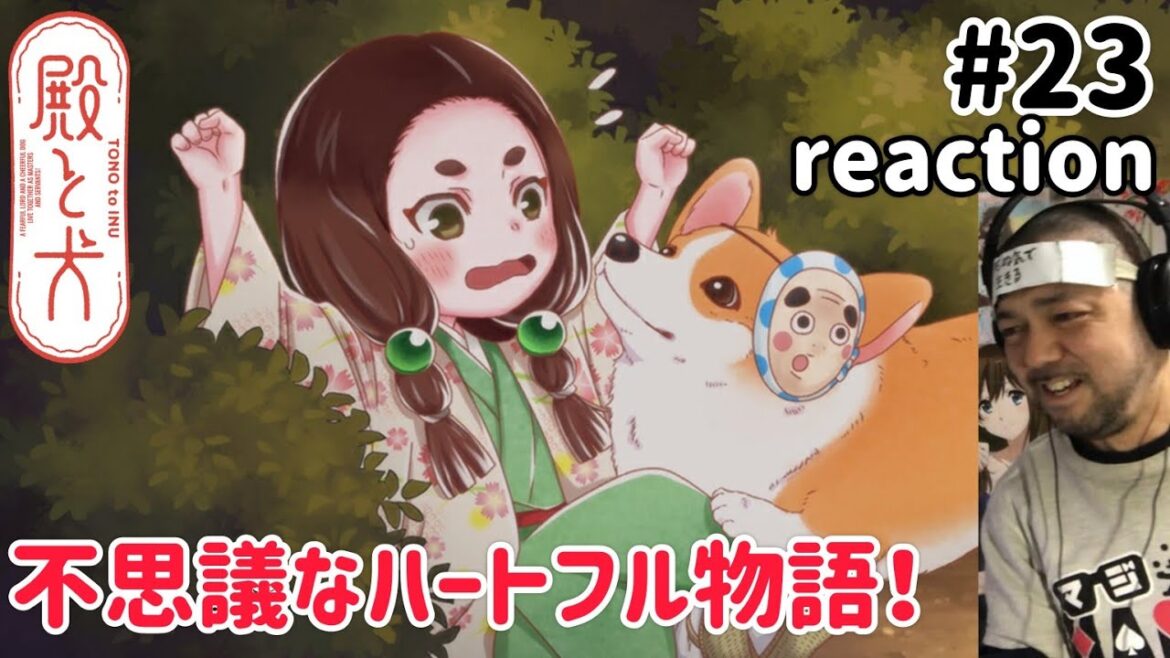 殿と犬 23話 リアクション 【やっと出てきたぜあの少女！不思議なハートフル物語やった！】 TONO to INU ep23 reaction 同時視聴 反応 #殿と犬