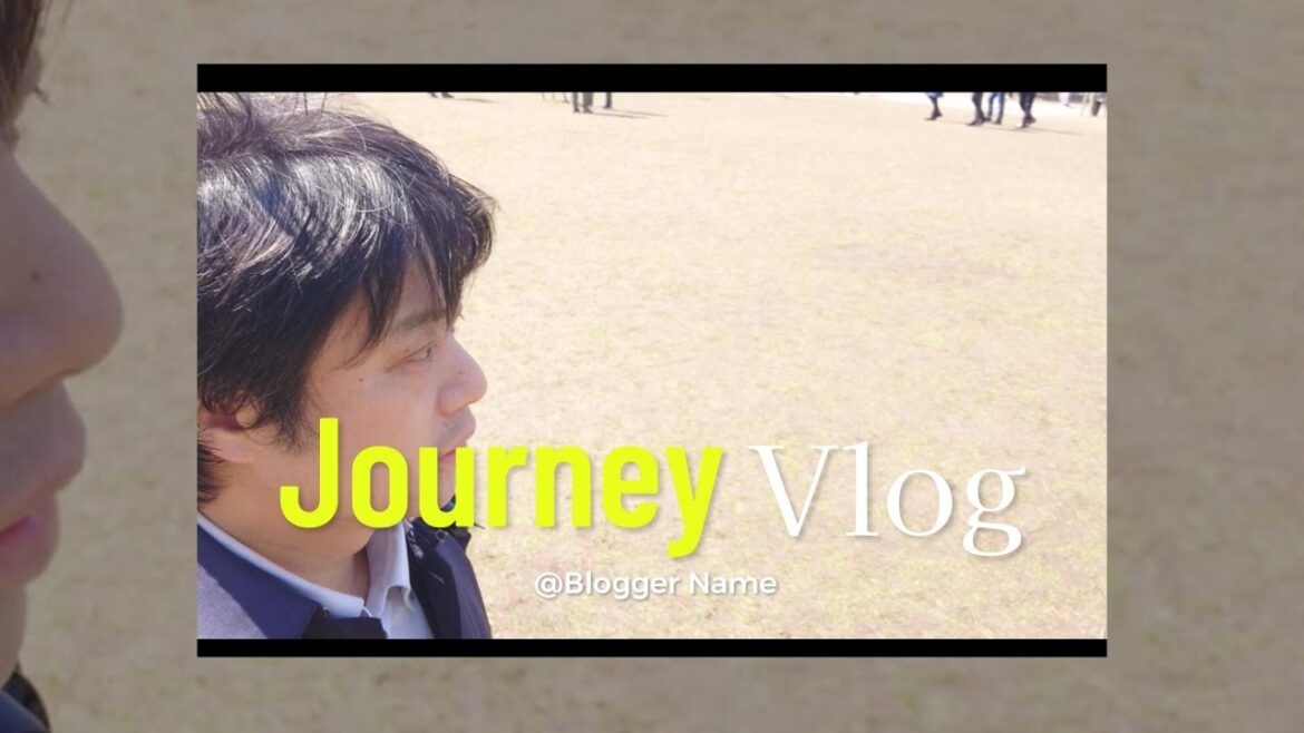 Nara Park in Nara, 2025, March 20, #しかのこのこのここしたんたん