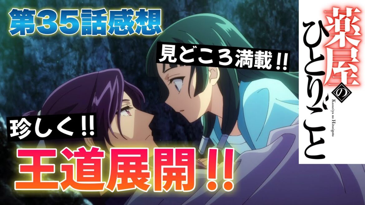 【 薬屋のひとりごと 】 第35話感想！ 王道展開は王道だからいいんですよね！ 滝壺ダイブするし、久々にあの人たちも登場するし！ 今回は見どころ満載！ 【 アニメ感想 】