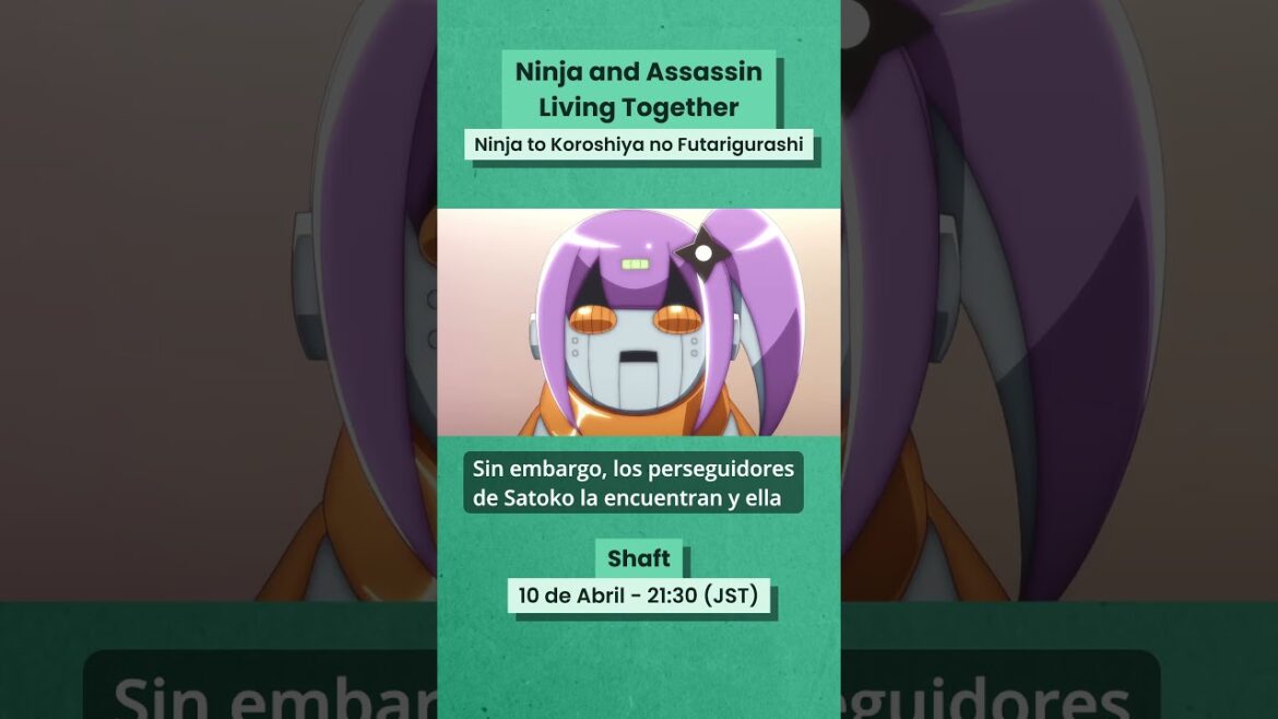 Ninja and Assassin Living Together | Sinopsis