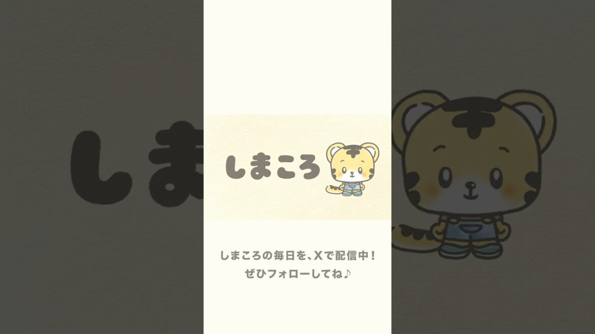 【しまころのアニメが4/5よりスタート! ナレーションは空気階段さん!】『しまころ』の毎日をXで配信中♪   #しまころ #空気階段 #アニメ #しまじろう #shorts 【しまころのアニメが4/5よりスタート! ナレーションは空気階段さん!】『しまころ』の毎日をXで配信中♪   #しまころ #空気階段 #アニメ #しまじろう #shorts