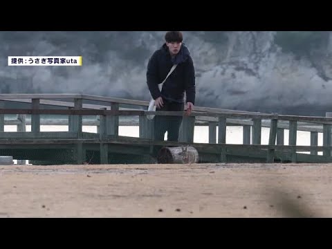 「ウサギが虐待される動画を見て…」ウサギ暴行の男 犯行のきっかけ明かす 検察は懲役1年求刑 広島 「ウサギが虐待される動画を見て…」ウサギ暴行の男 犯行のきっかけ明かす 検察は懲役1年求刑 広島