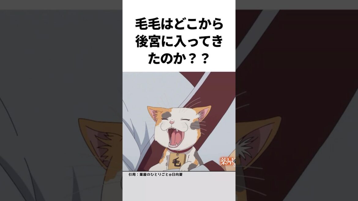 【薬屋のひとりごと】毛毛はどこから後宮に入ってきたのか??#薬屋のひとりごと #薬屋のひとりごと2期 #薬屋のひとりごとアニメ#猫猫 #アニメ #花になって #雑学#shorts