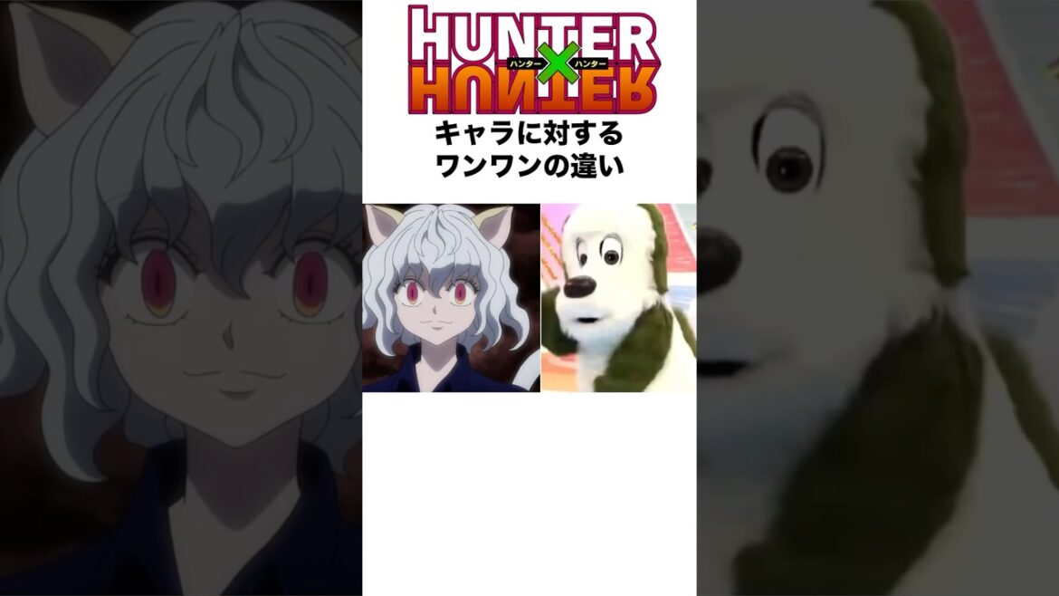 HUNTER×HUNTERキャラに対するワンワンの違い #hunterxhunter #ハンターハンター #hxh #アニメ #shorts