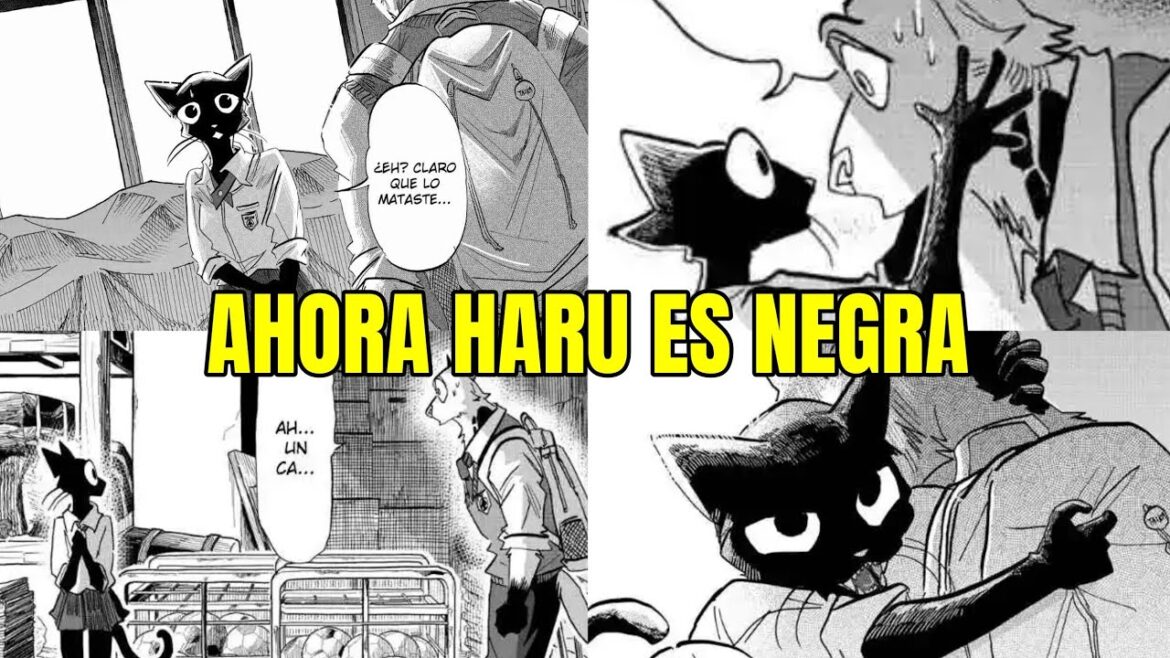 APARECE LA WAIFU FURRA – TAIKA NO RISEI CAPITULO 10 APARECE LA WAIFU FURRA - TAIKA NO RISEI CAPITULO 10