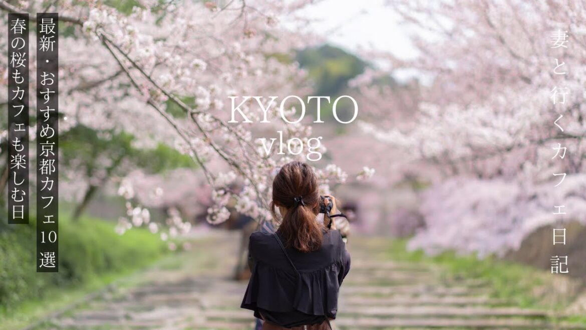 【京都vlog】最新おすすめ京都カフェ10選/春の京都で桜を満喫する日/ランチ/京都旅行/kyoto trip 【京都vlog】最新おすすめ京都カフェ10選/春の京都で桜を満喫する日/ランチ/京都旅行/kyoto trip