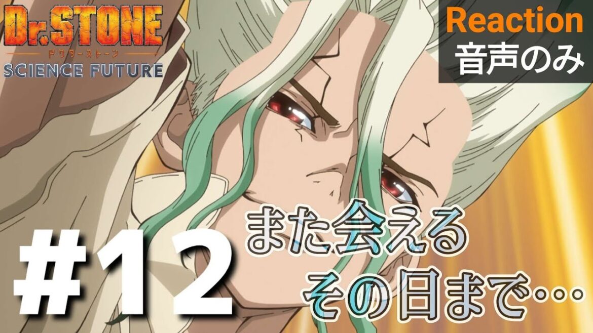 【同時視聴】Dr.STONE SCIENCE FUTURE　#12　アニメリアクション　ドクターストーン　4期　第12話　Anime Reaction