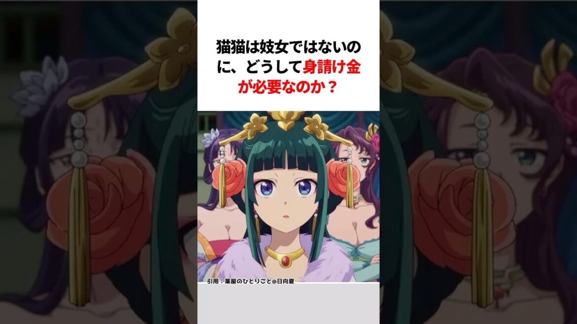 【薬屋のひとりごと】猫猫は妓女ではないのに、どうして身請け金が必要なのか??#薬屋のひとりごと #薬屋のひとりごと2期 #薬屋のひとりごとアニメ#猫猫 #アニメ #花になって #雑学#shorts