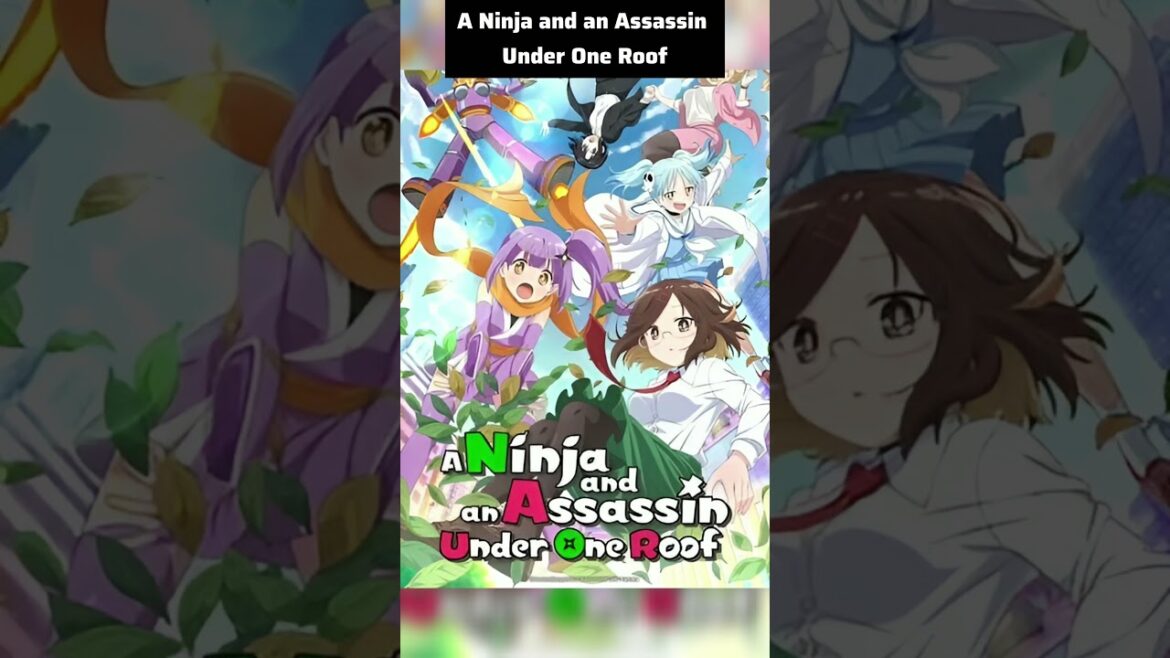 #anime | A Ninja and an Assassin Under One Roof | #2025