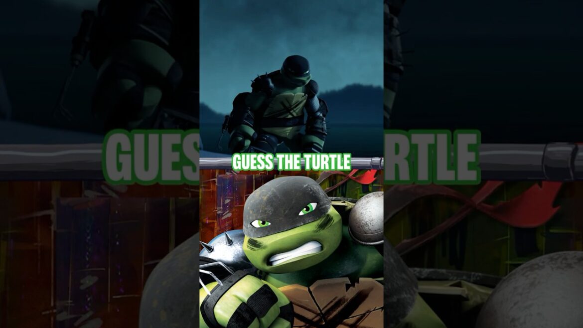 guess the ninja turtles with BLACK masks! | TMNT #shorts guess the ninja turtles with BLACK masks! | TMNT #shorts