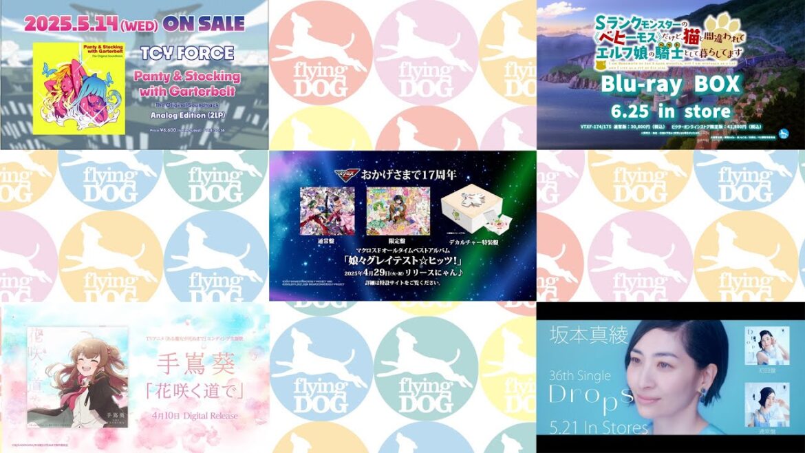 FlyingDog SPOT集2025年4月 FlyingDog SPOT集2025年4月