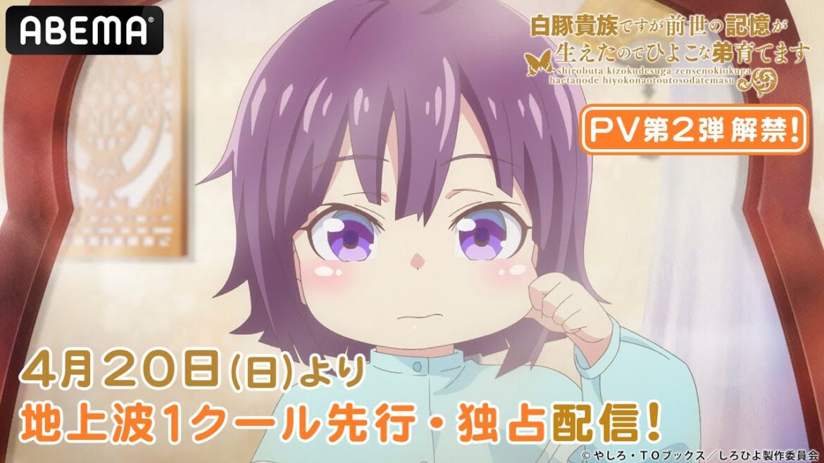 『白豚貴族ですが前世の記憶が生えたのでひよこな弟育てます』 PV第2弾公開！│#しろひよ 4月より【地上波1クール先行・独占】配信！