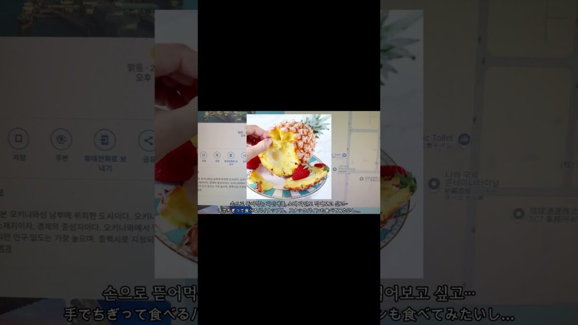 [🌴오키나와 여행 VLOG🌺] 갑자기 오키나와에 가고 싶어진 이유 ✈️ (急に沖縄旅行に行きたくなった理由) 🏖️