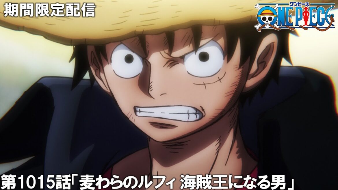 【公式アニメ】『ONE PIECE』第1015話「麦わらのルフィ 海賊王になる男」　【200万人記念！期間限定配信】