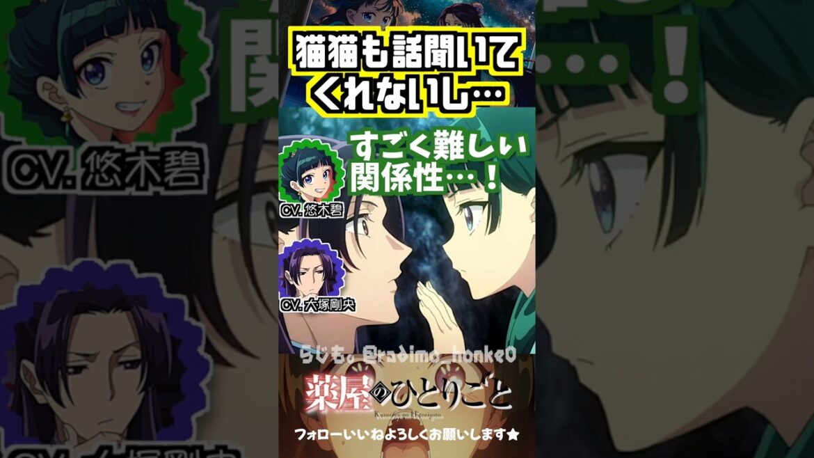 【薬屋】猫猫も話聞いてくれないしw #悠木碧  #大塚剛央