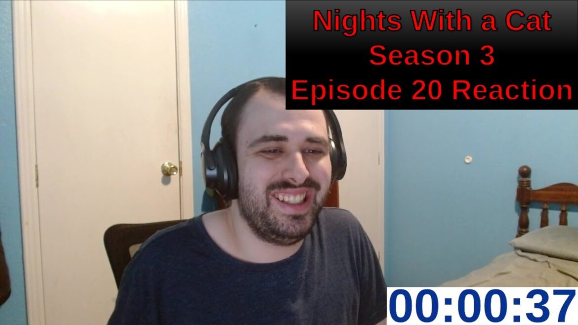 Nights With a Cat Season 3 Episode 20 Reaction | ANIME REACTION