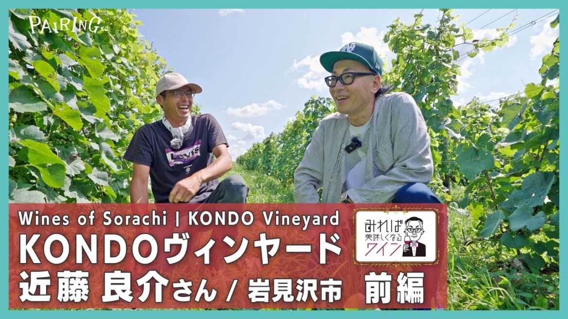 みれば美味しくなるワイン⑧【前編】KONDOヴィンヤード 近藤良介さん|混植を通してみるワインブドウ栽培の世界|岩見沢市|空知ワイン協会 初代代表理事 みれば美味しくなるワイン⑧【前編】KONDOヴィンヤード 近藤良介さん|混植を通してみるワインブドウ栽培の世界|岩見沢市|空知ワイン協会 初代代表理事