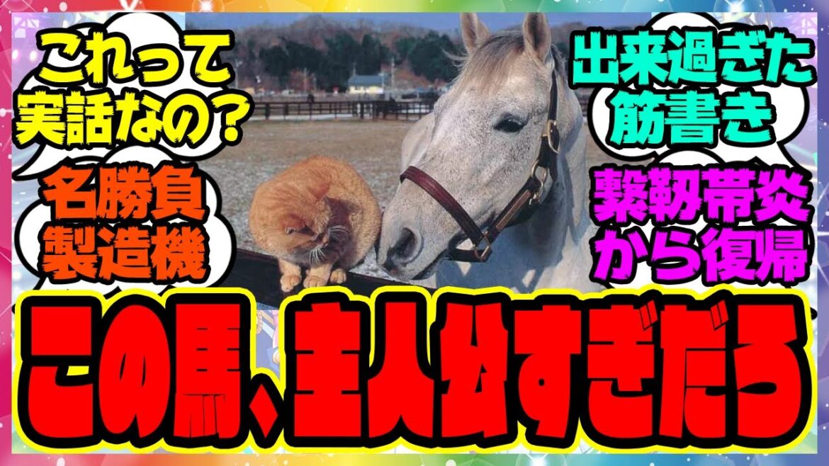 『主人公適性ある強すぎる馬』に対するみんなの反応集 まとめ ウマ娘プリティーダービー レイミン アニメシンデレラグレイ キタハラ ベルノライト シングレ オグリキャップ 『主人公適性ある強すぎる馬』に対するみんなの反応集 まとめ ウマ娘プリティーダービー レイミン アニメシンデレラグレイ キタハラ ベルノライト シングレ オグリキャップ