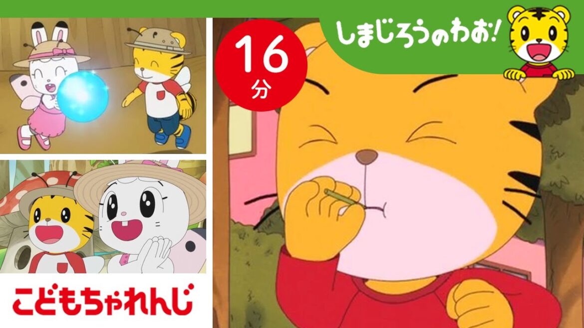 【16分アニメ】しまじろうのドキドキ森探検🌟タンポポがひらく夢の扉｜夢・憧れ｜しまじろうのわお！アニメ｜しまじろうチャンネル公式