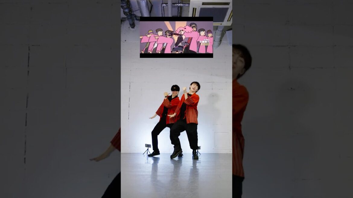 【ヒロアカ】新作ヴィジランテアニメダンスが完成！！【アニメダンス本家】#vigilante