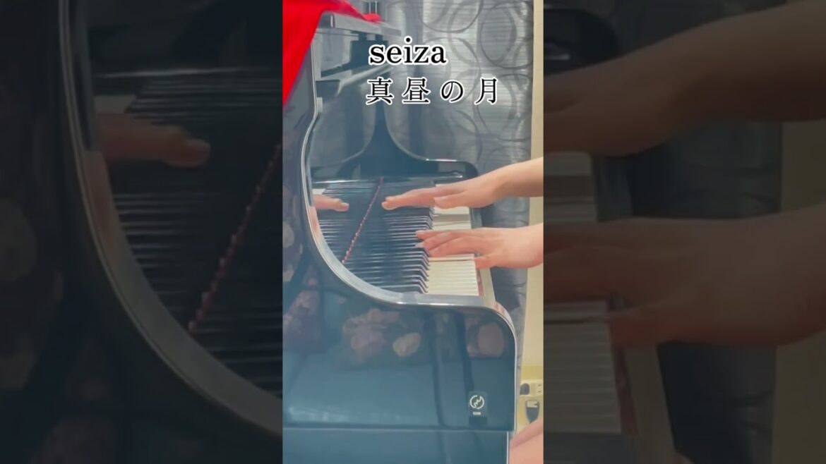 【seiza】「真昼の月」をちょっとだけ弾いてみました。#Shorts