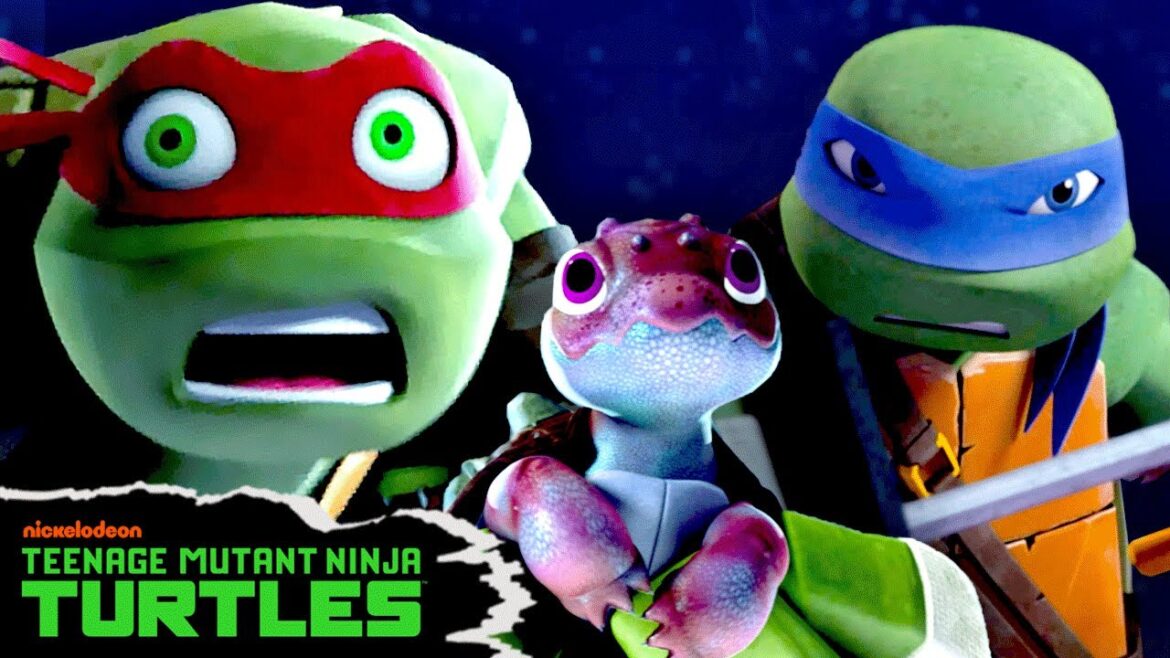 Ninja Turtles Battle an ARMY to Reunite a Baby Tortoise with their Mom! | Full Scene | TMNT