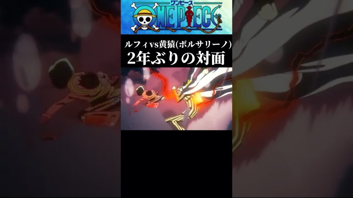 【ワンピース】100倍強くなって帰ってきたルフィと2年ぶりに対面する黄猿 #ワンピース #アニメ